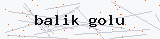 Güvenlik kodu